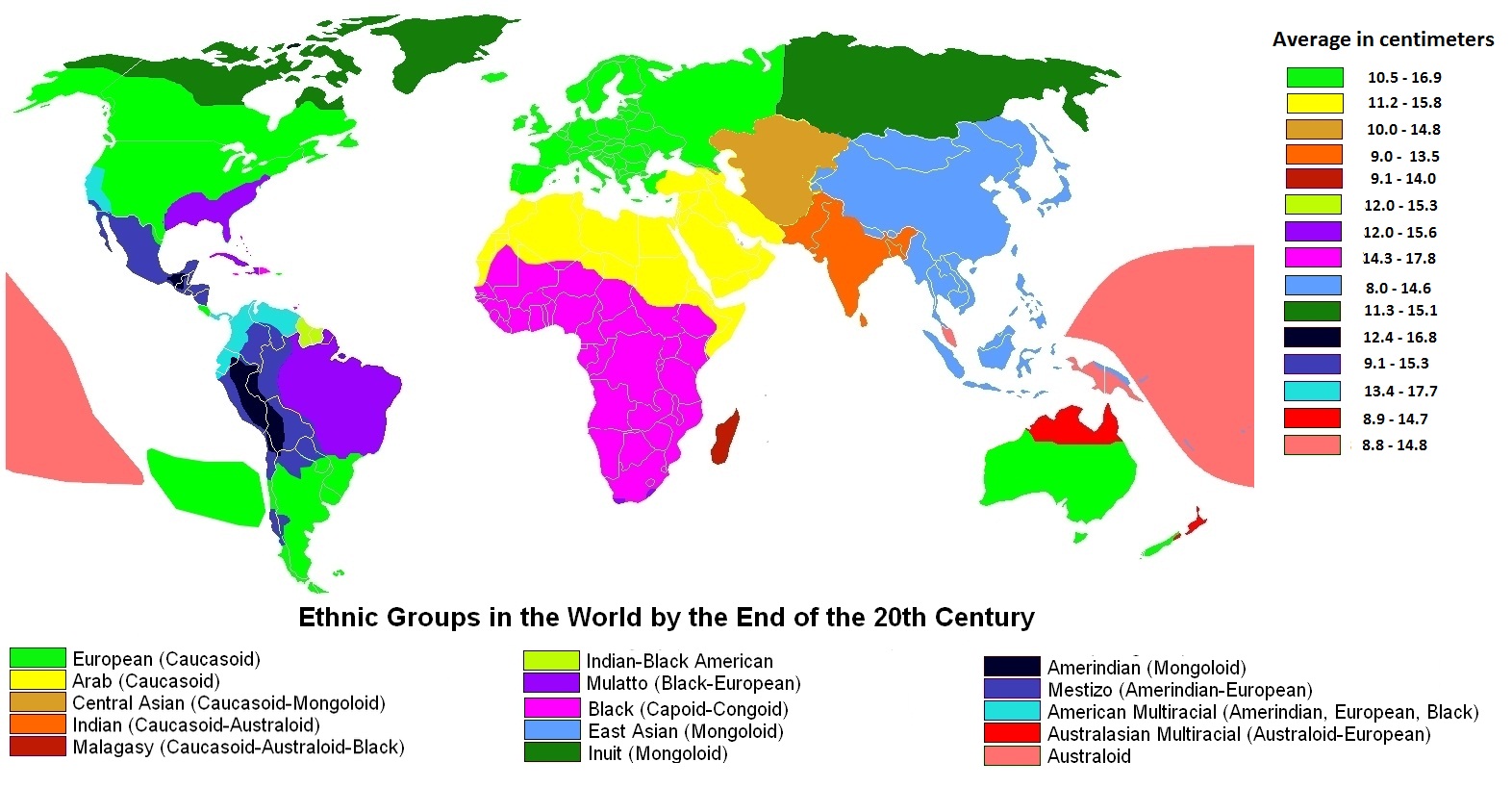 Average Penis Size By Ethnicity 31