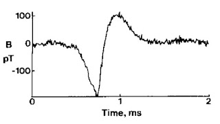 The magnetic field of a single axon. The data was recorded with no averaging.