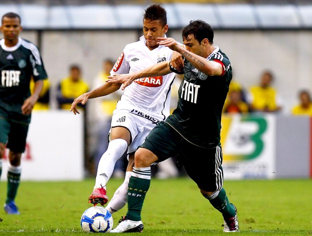 O Alviverde Imponente Pré jogo Palmeiras x Santos