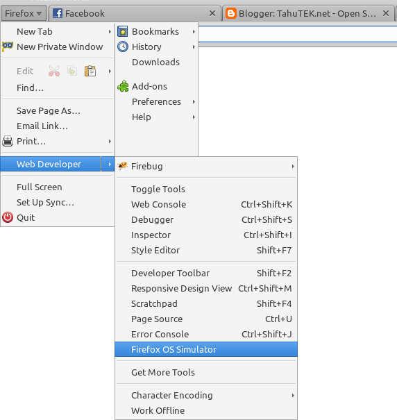 install firebug for firefox in ubuntu install firebug for firefox in ubuntu