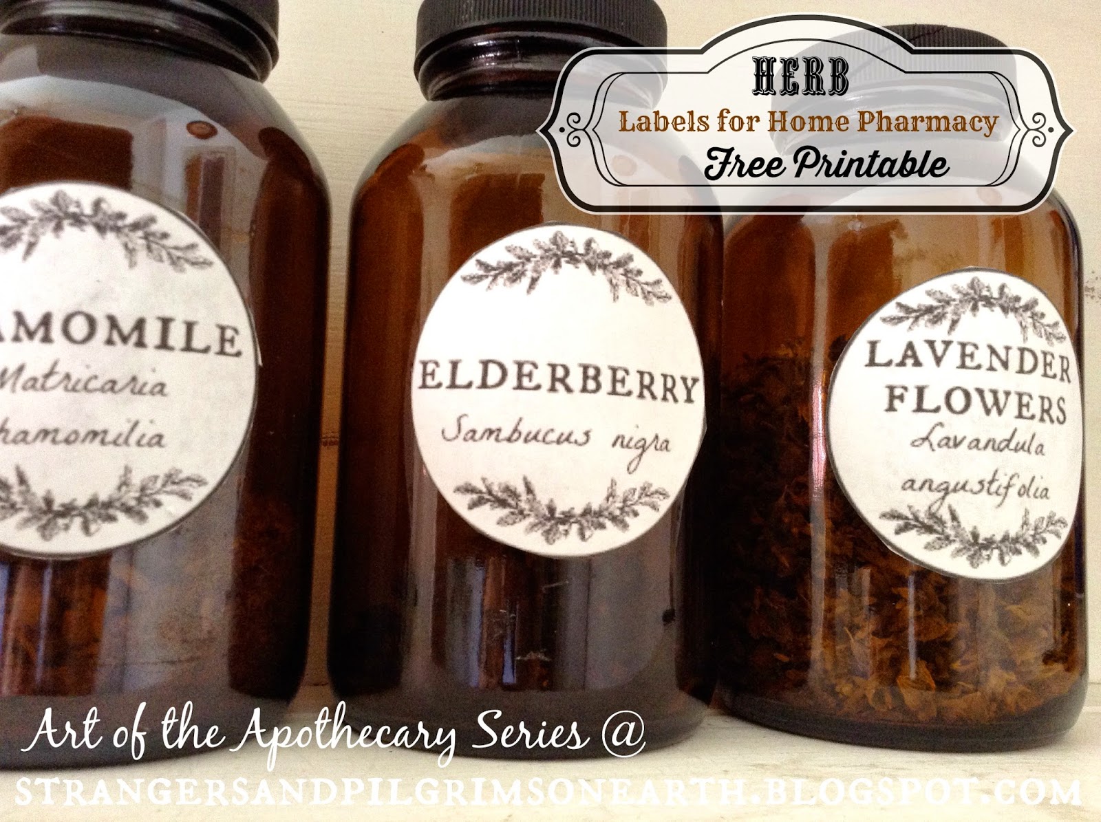 strangers-pilgrims-on-earth-apothecary-herb-labels-free-printable