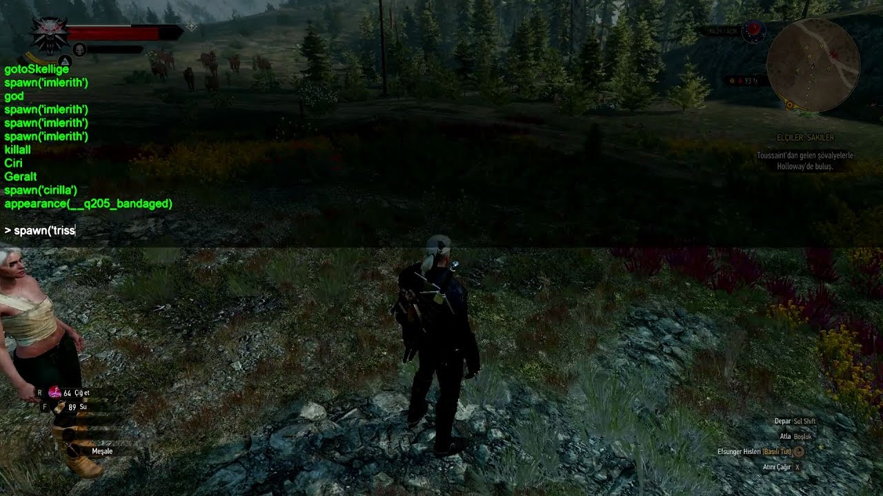 oyunjokeri oyun haberleri tuyolar ve konsol hileleri witcher 3 wild hunt dahil hileleri konsol sifreleri