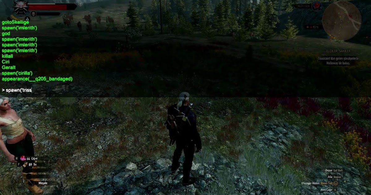 oyunjokeri oyun haberleri tuyolar ve konsol hileleri witcher 3 wild hunt dahil hileleri konsol sifreleri