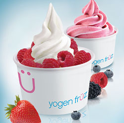 Life is easy, Live-Laugh-Love with Food:): The Ice cream V.S. Froyo