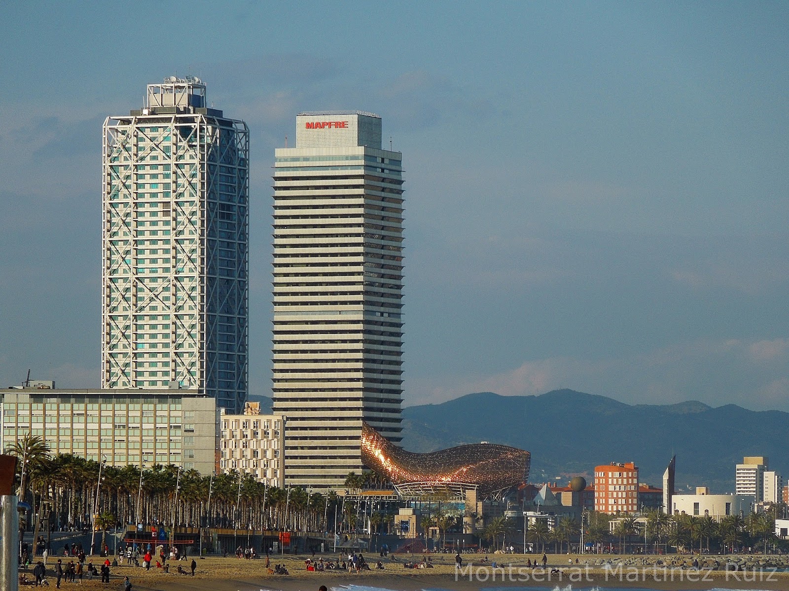 Isensebotànic Barcelona Vila Olímpica