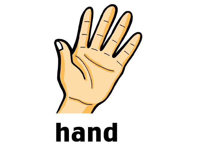 These are my hands. Карточки для английского рука. Hand на английском. Hand Flashcard. Hand Flashcards for Kids.