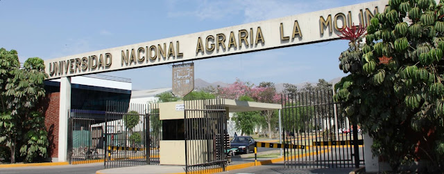 Universidad Nacional Agraria La Molina - UNALM