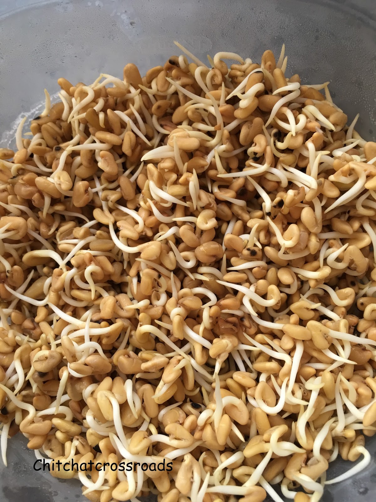 Chitchatcrossroads Goodness of Methi seeds