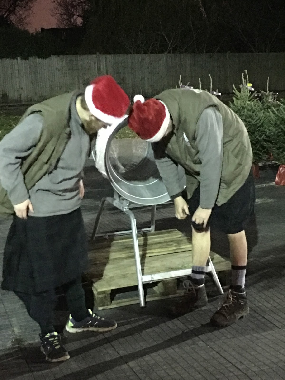 Treetastic delivery service from Pines and Needles Christmas Tree