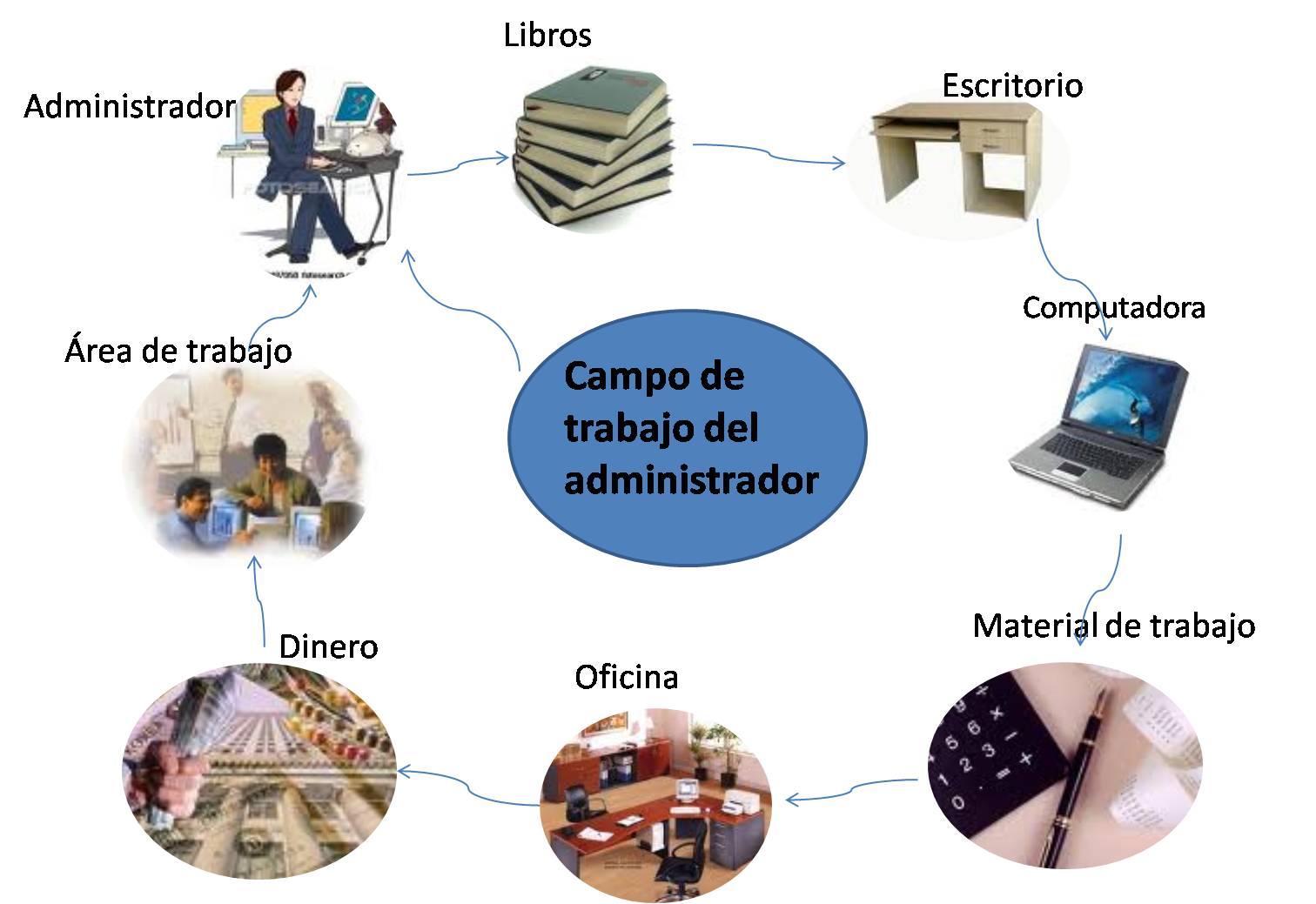Campos de Actividad Profesional para un Licenciado en Administración Campo De Trabajo Del