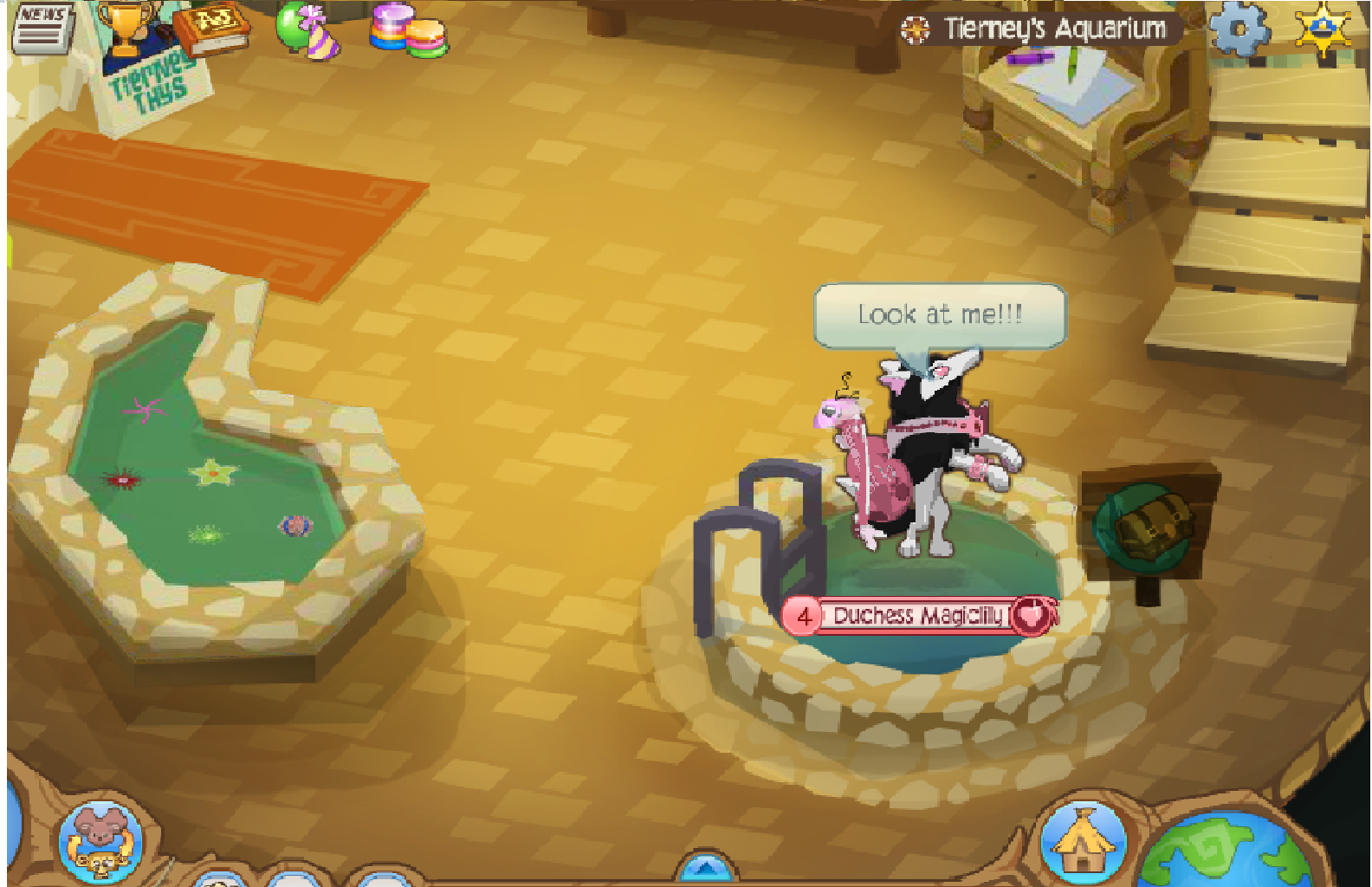 Animal Jam Glitches Animal Jam Tierney's Aquarium Glitch