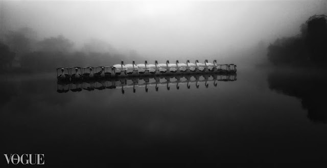 Foggy Swan Lake Black and White Image of my Vogue Italia Portfolio