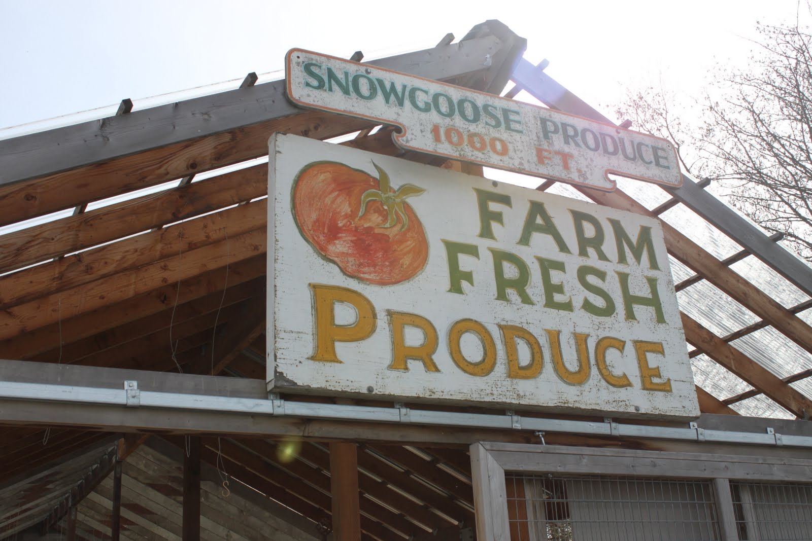 Johnston Family Blog SnowGoose Produce