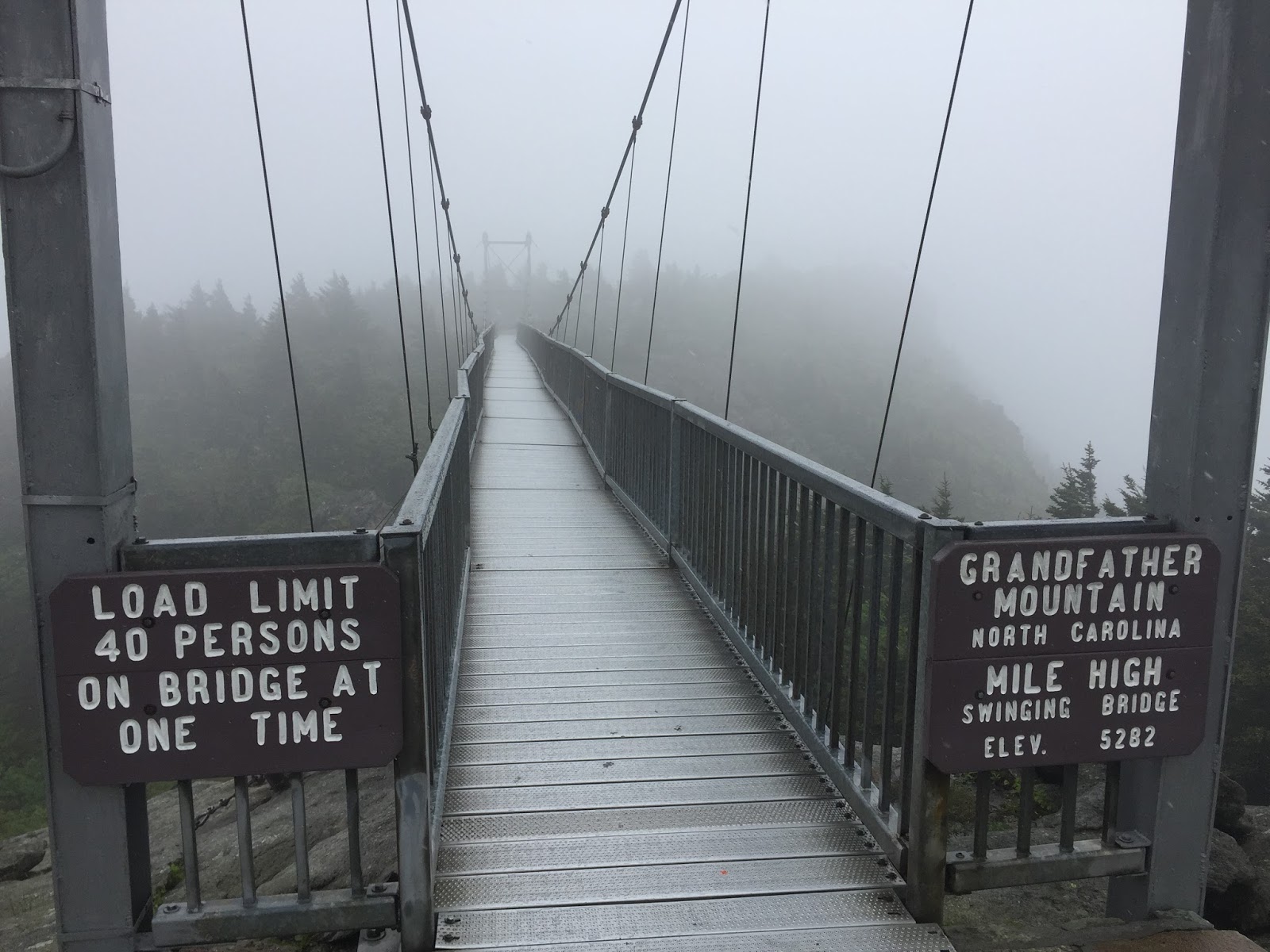 Down the Road Chutes & Ladders Hike on Grandfather Mountain NC