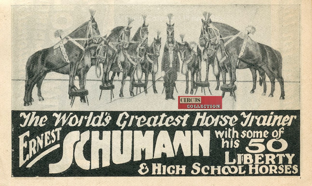 les chevaux de Ernest Schumann 50  équidé en liberté