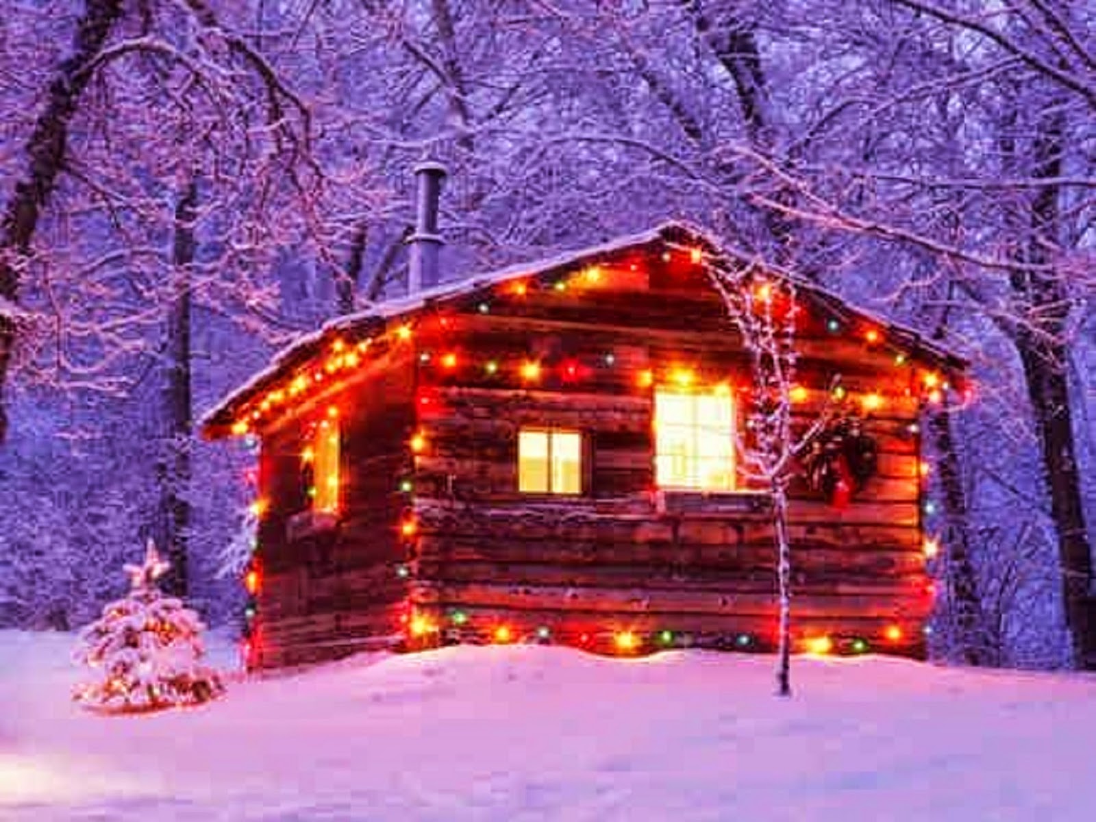 Oh, by the way...: Winter At The Cabin 2015