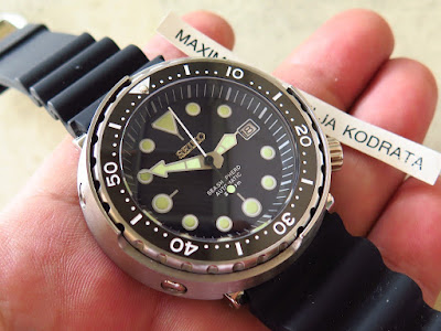 seiko skx007 metal shroud