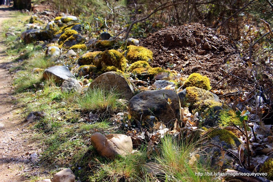 León. Ponferrada. Mina de oro 