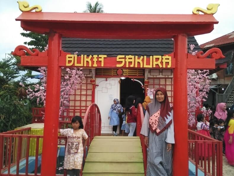 Bukit Sakura Lampung, Tempat Wisata Baru Ala Jepang yang ...