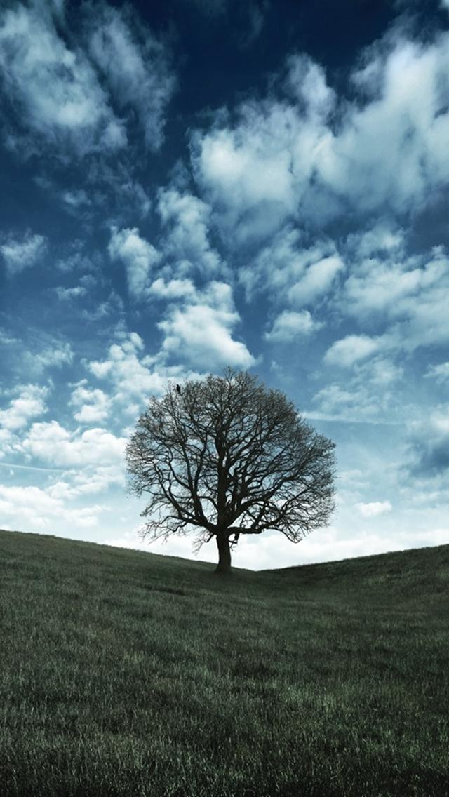 Wallpaper of iPhone 5 | iPhone Quick Tips