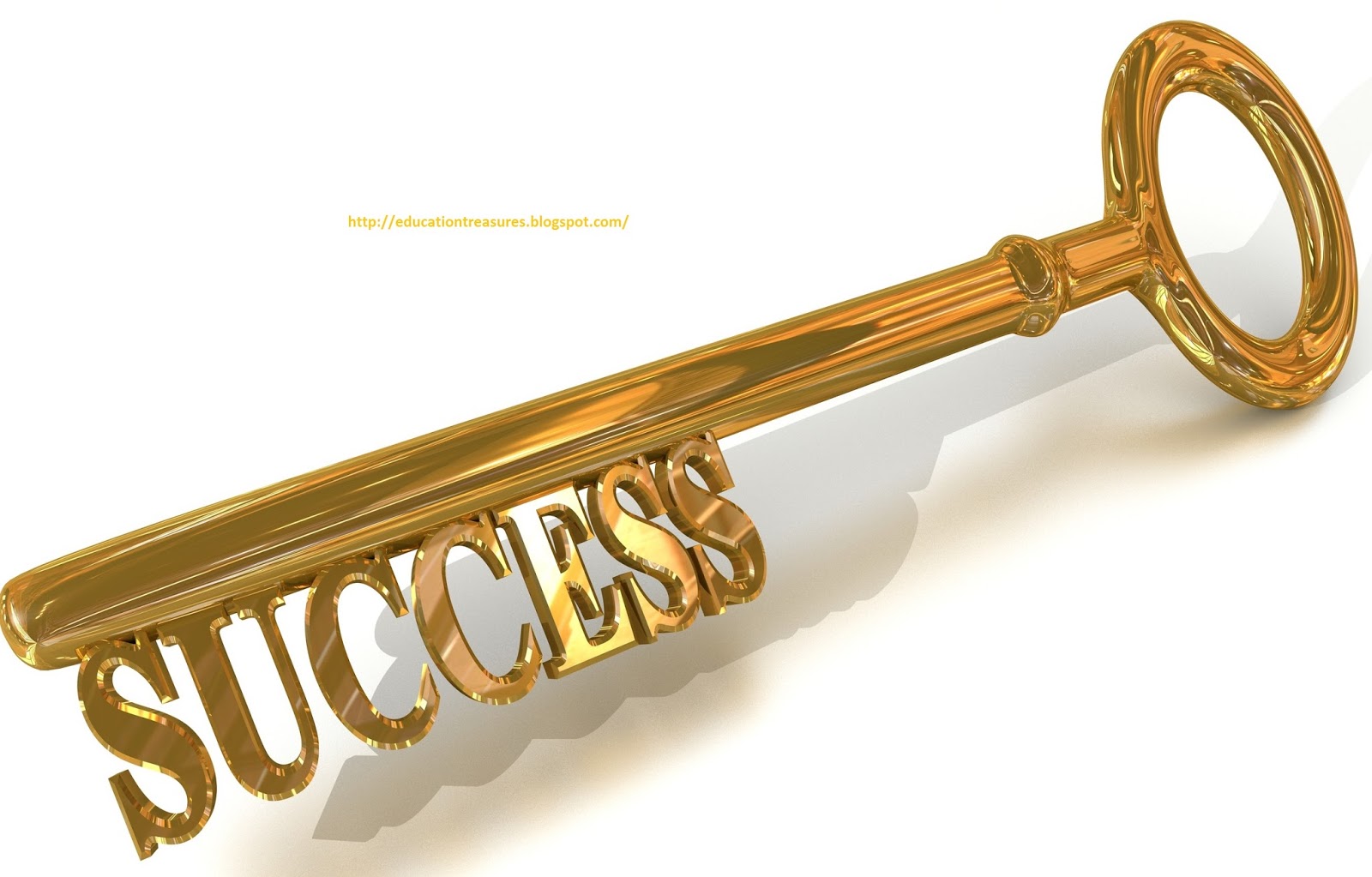 THE EDUCATION TREASURES