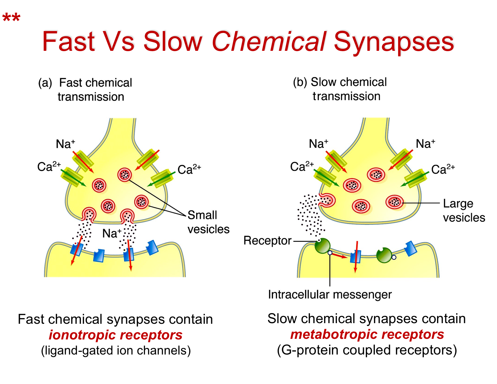 EXAMS AND ME : Chemical Message