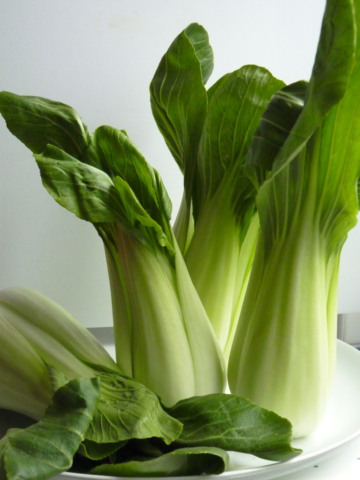 капуста бок чой. капуста пак-чой. чой сун овощ. кейл, пак-чой. черный и зеленый чай.