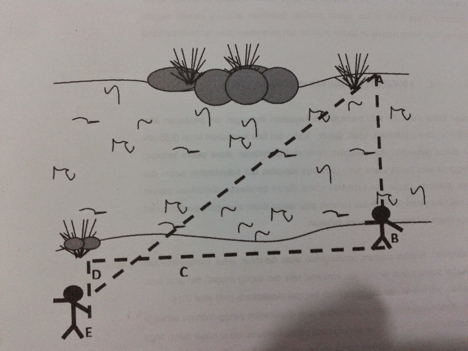 blognyaandrikiswantoro DAPAT MENJELASKAN KOMPAS, MENAKSIR TINGGI DAN