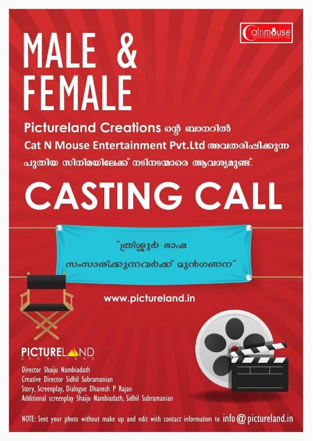 CASTING CALL FORM MOVIE BY PICTURELAND CREATIONS