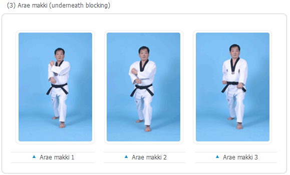 Gerakan Dasar Taekwondo (Basic Movements) ~ DEMOS Martial ARTS School