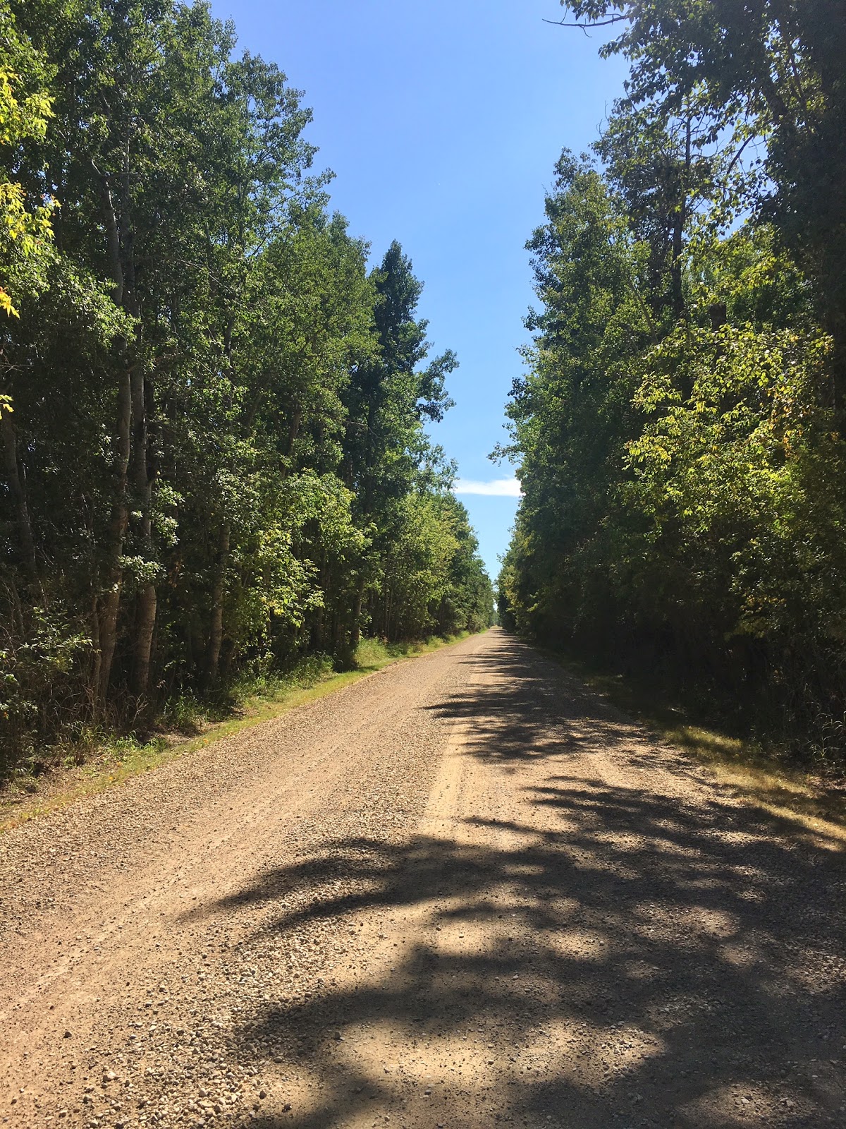 West of the 5th Heritage Trees Living Links to our History
