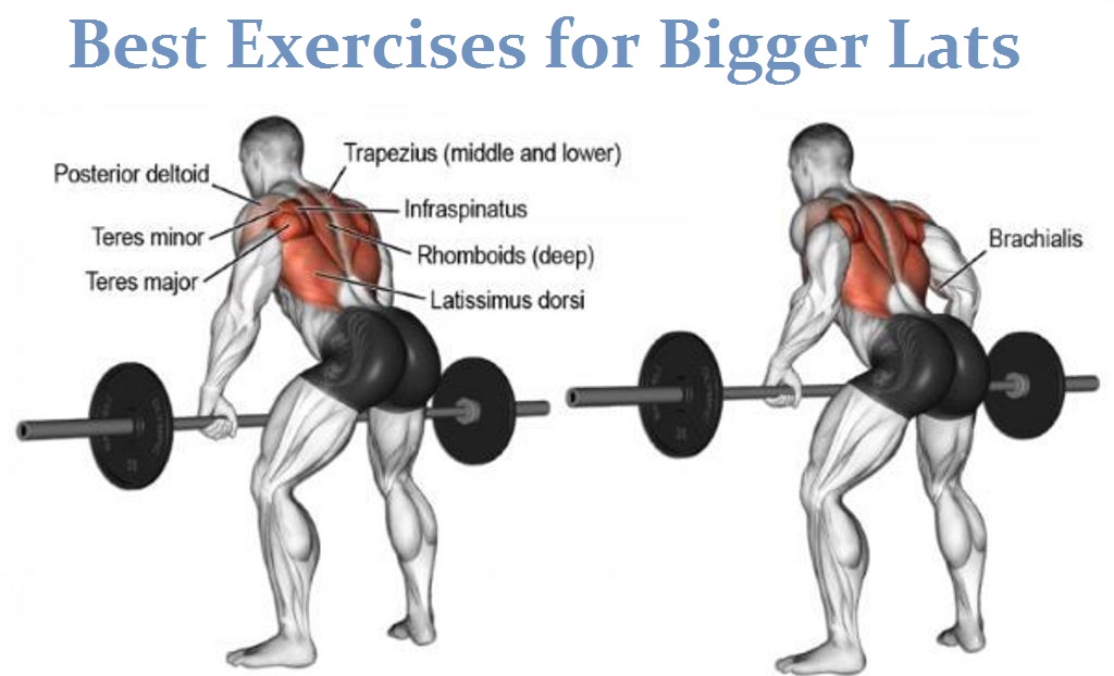 Muscle Palace Big Lats Workout how-to-build-your-lats-baseballprince20