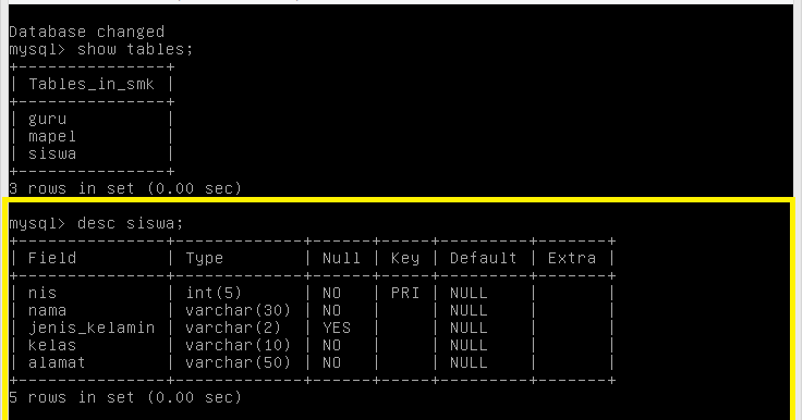 Cara Membuat Database menggunakan MYSQL console pada Debian SERVER