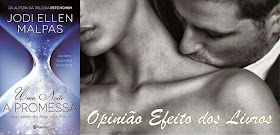 http://efeitodoslivros.blogspot.pt/2015/04/opiniao-uma-noite-promessa.html