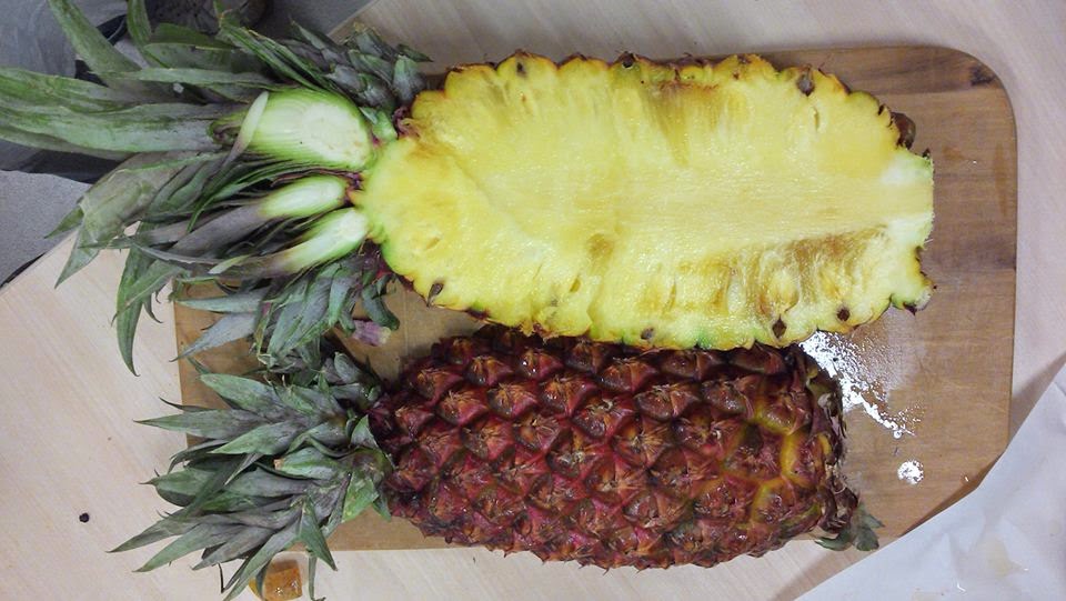 Catálogo De Alimentos: Piña