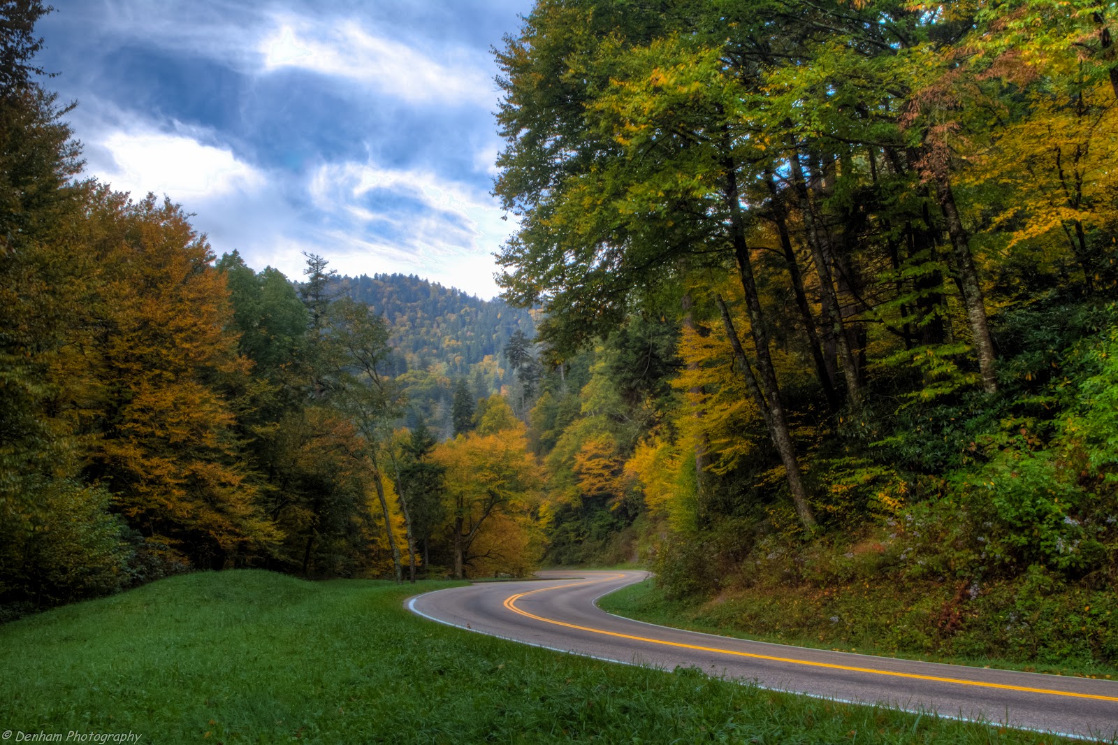Denham Photography NEWFOUND GAP ROAD