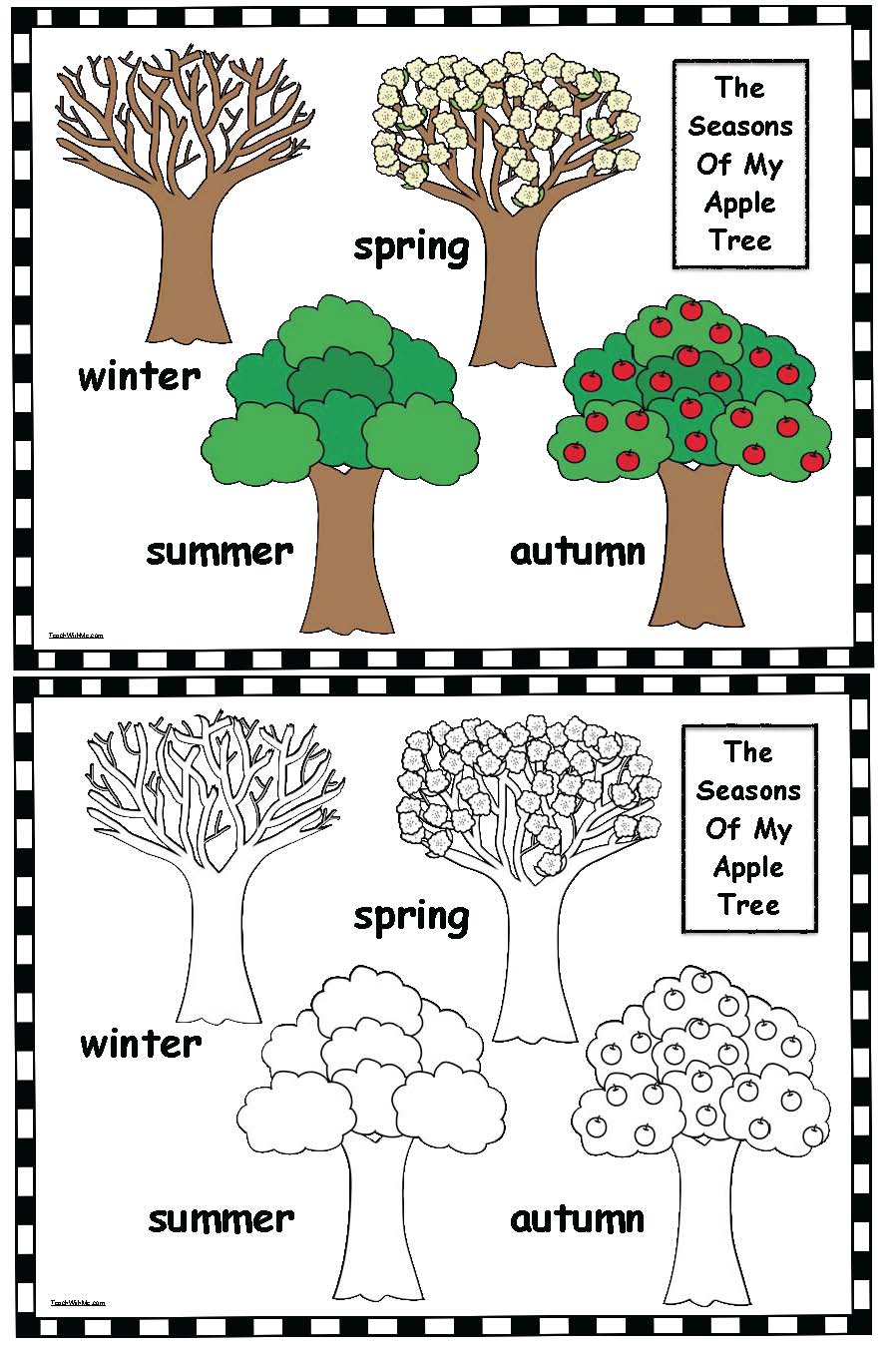 The Seasons of My Apple Tree - Classroom Freebies 4 part cycle diagram template 
