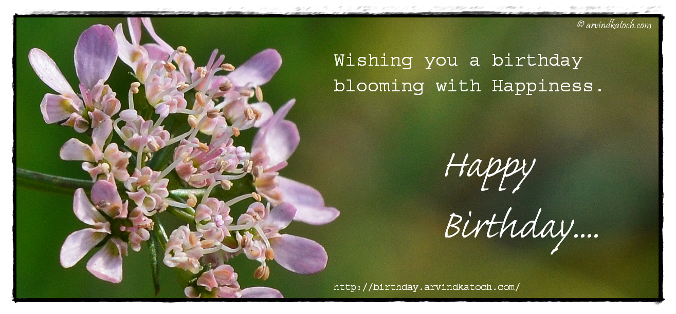 True Picture HD Birthday Cards Happy Birthday Card with Tiny Flowers (Wishing you a birthday True Picture HD Birthday Cards Happy Birthday Card with Tiny Flowers (Wishing you a birthday