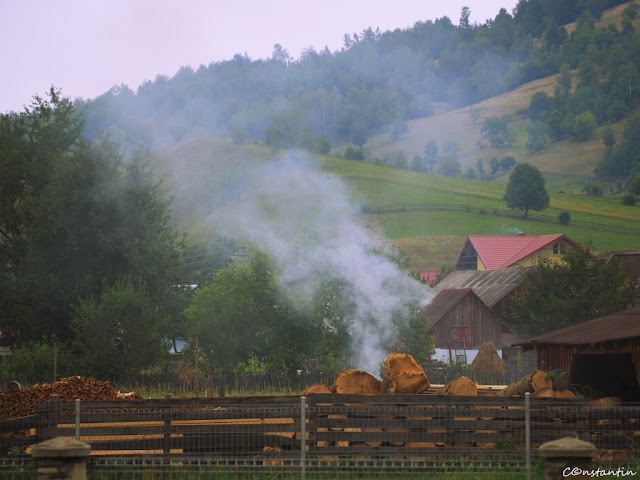 După amiază gospodarii fac curăţenie în curţi - blog Foto-Ideea