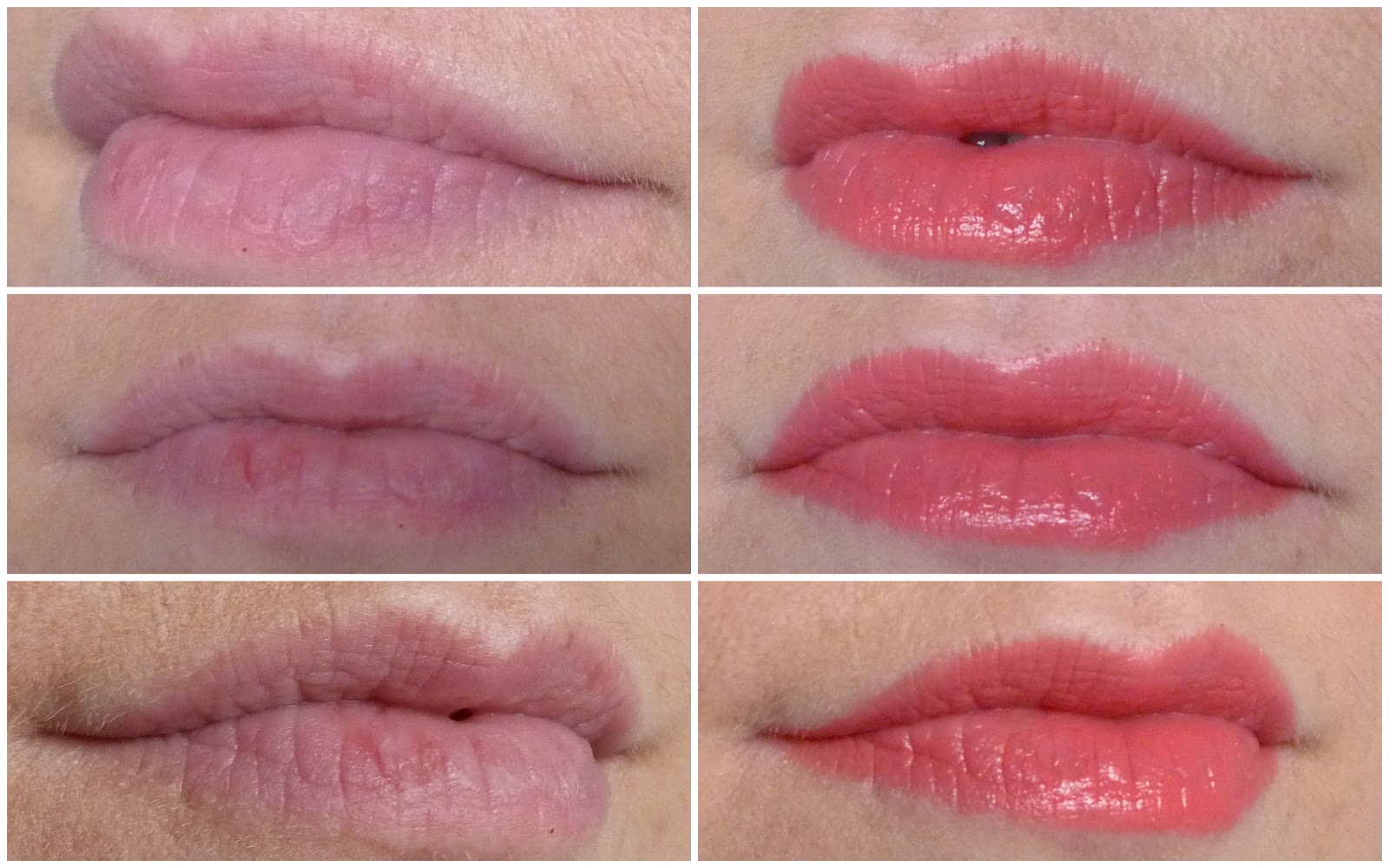 Ysl rose dahlia Clearance