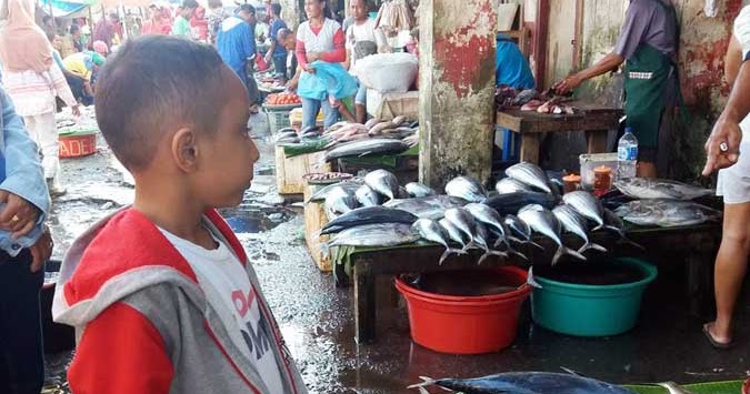 Harga Ikan Cakalang Segar Di Ambon Naik - Media Otomatis