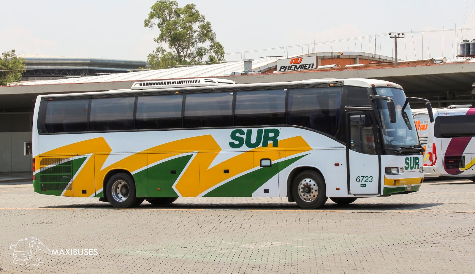 MAXIBUSES AUTOBUSES DEL SUR MAXIBUSES AUTOBUSES DEL SUR