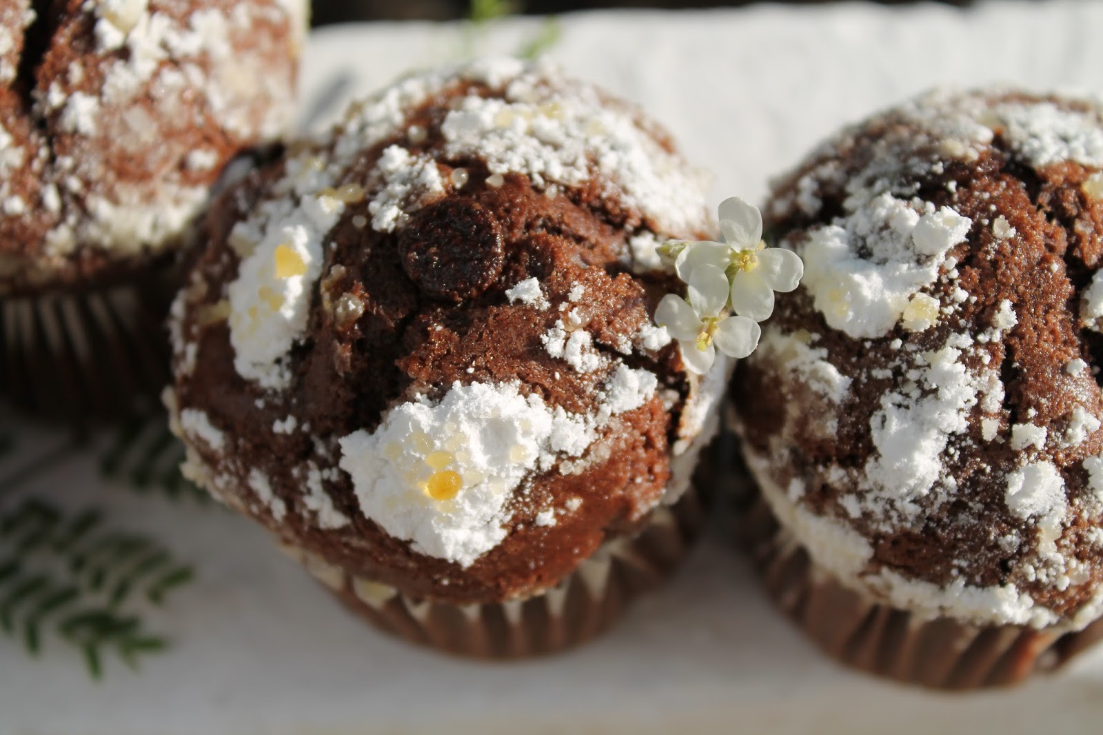 Bilyrecetas Muffins de chocolate sin huevo