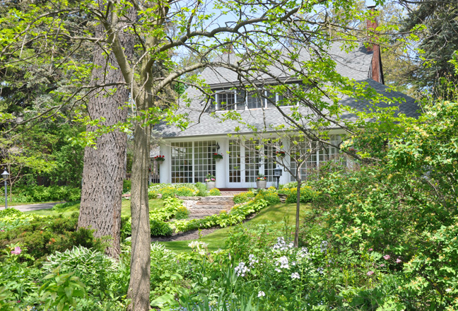 Three Dogs in a Garden: A Pretty Cottage Garden