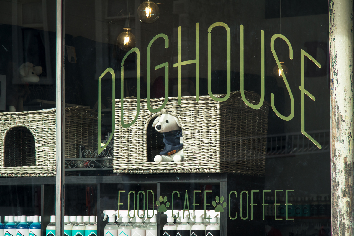Doghouse Cafe Opens in Collingwood July 1 Australian Dog Lover