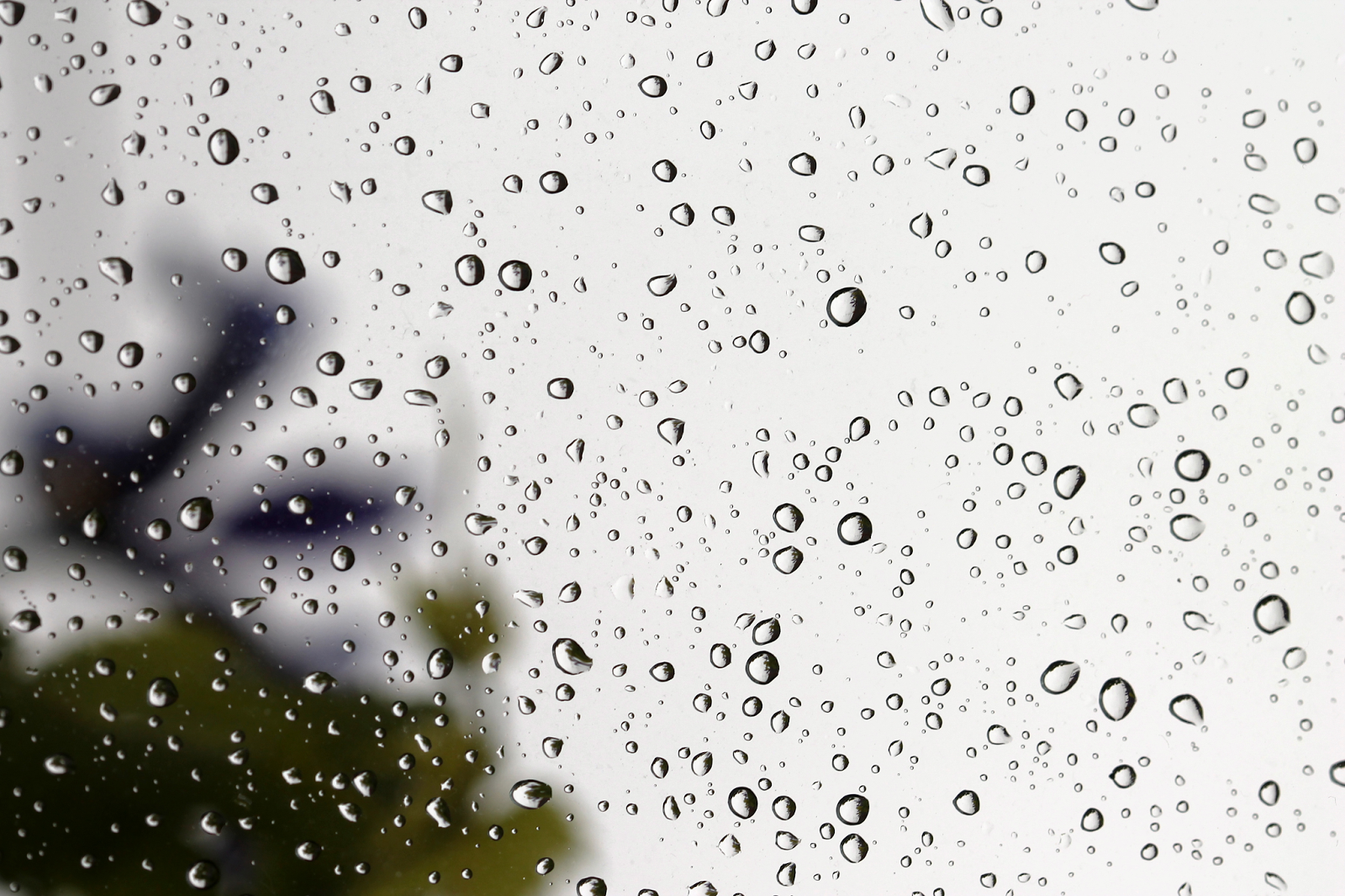 La physique des gouttes de pluie et la répartition des