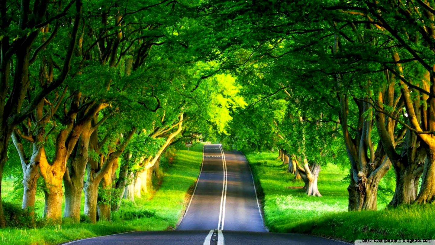 Diego Pacheco Software Architect  Agile Coach Nature A way to