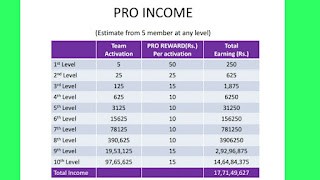 PRO INCOME  OF THE MANNU APP