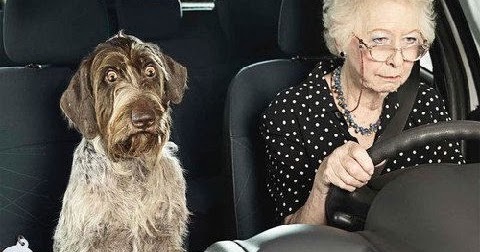 Silly Bunt : Little Old Lady Driver Joke
