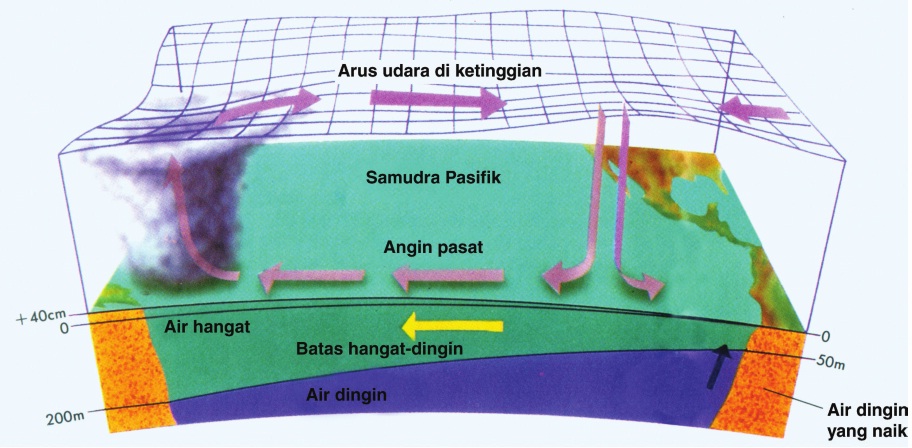 El Nino dan La Nina - GEOMEDIA